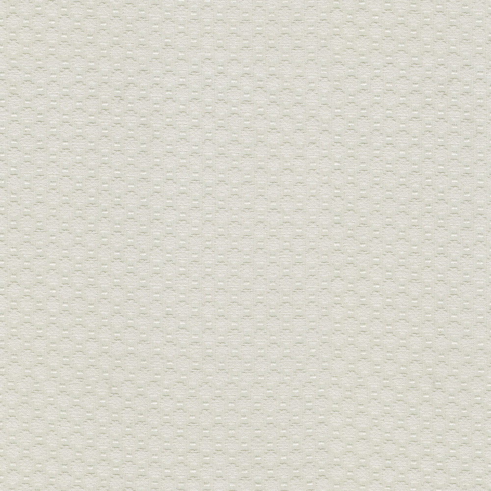 Alden Winter 409365 by Performance Fabric - Base:77%Cotton 23%Polyester CHINA 51000 Horizontal: 0.6 and Vertical: 0.7 54 - Fabric Carolina -