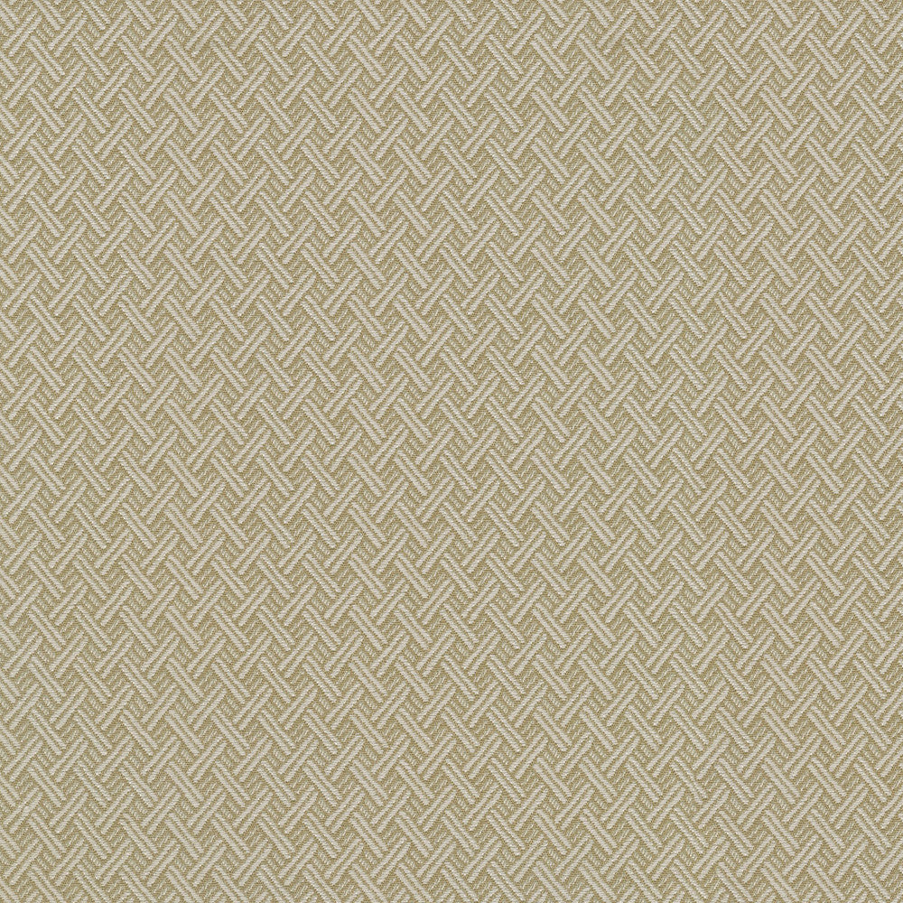 Fretwork Linen 409382 by Performance+ Fabric - 80% Polyester 20% Rayon China 30000 Horizontal: 6.25 and Vertical: 0.75 54 - Fabric Carolina -