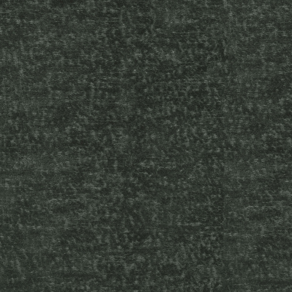 Teddy Char 409462 by Performance Fabric - Face:100%Polyester Back:100%Acrylic CHINA 51000 Horizontal: 0 and Vertical: 0 55 - Fabric Carolina -