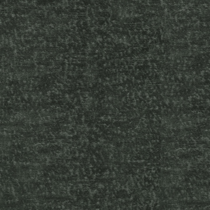 Teddy Char 409462 by Performance+ Fabric - 100% Spun Polyester China 51000 Horizontal: N/A and Vertical: N/A 55 - Fabric Carolina -