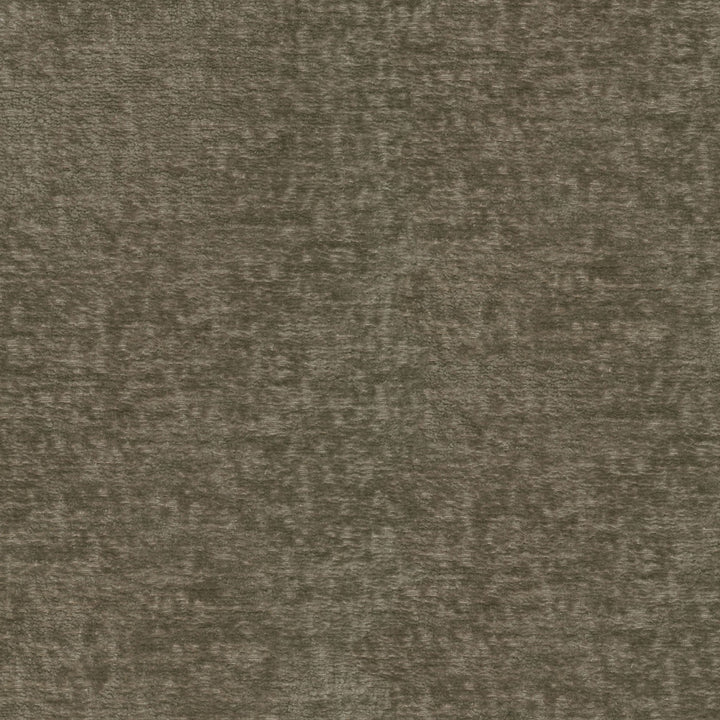 Teddy Woodland 409463 by Performance Fabric - Face:100%Polyester Back:100%Acrylic CHINA 51000 Horizontal: 0 and Vertical: 0 55 - Fabric Carolina -