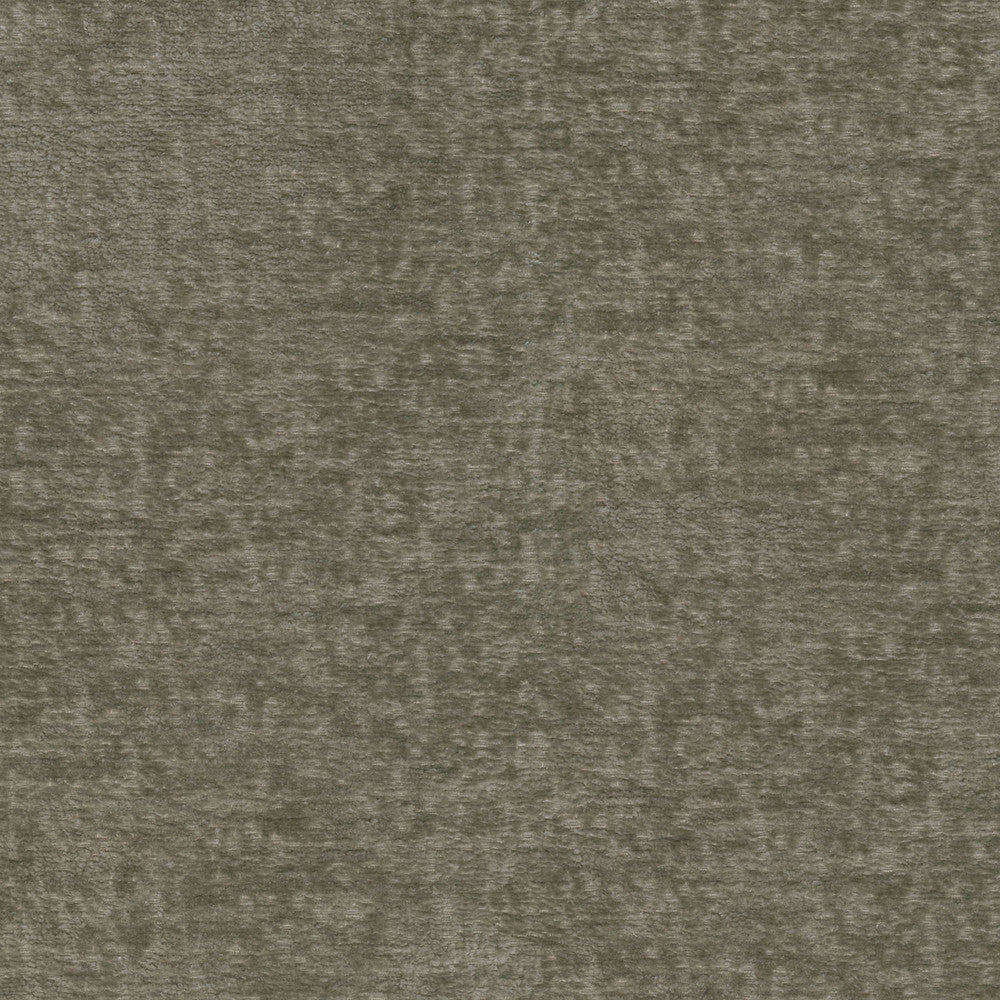 Teddy Fossil 409464 by Performance Fabric - Face:100% Polyester Back:100% Acrylic CHINA 51000 Horizontal: 0 and Vertical: 0 55 - Fabric Carolina -