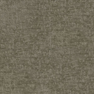 Teddy Fossil 409464 by Performance Fabric