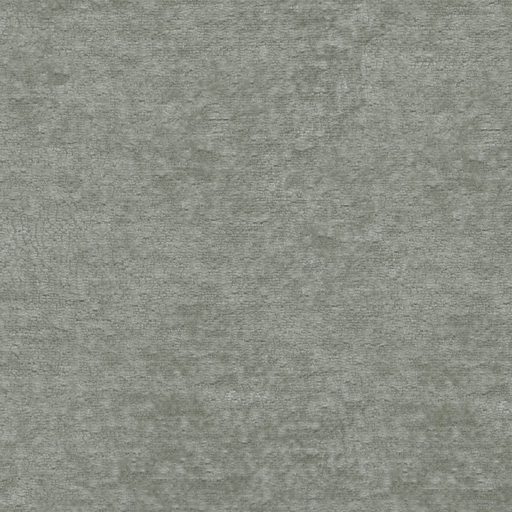 Teddy Fog 409465 by Performance Fabric - Face:100% Polyester Back:100% Acrylic CHINA 51000 Horizontal: 0 and Vertical: 0 55 - Fabric Carolina -