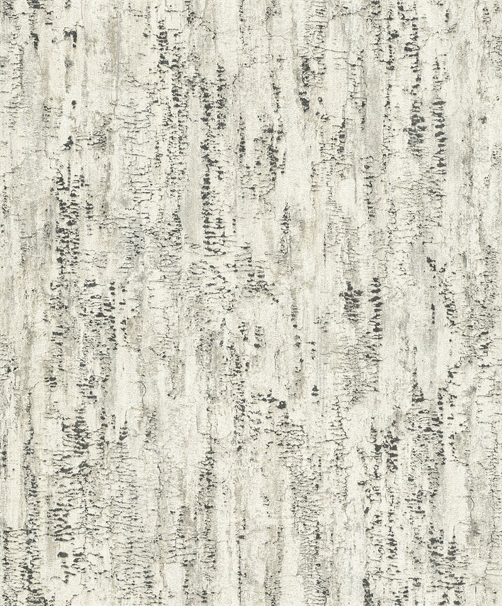 Colm Charcoal Birch Wallpaper by Advantage Concrete Covers about 57.5 square feet 20.9-in by 33-ft long roll Unpasted 0 - Fabric Carolina -