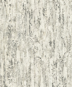 Colm Charcoal Birch Wallpaper by Advantage