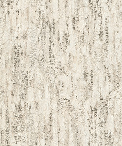Colm Beige Birch Wallpaper by Advantage