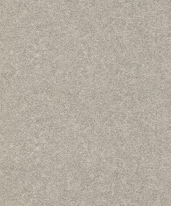 Dale Neutral Texture Wallpaper by Advantage