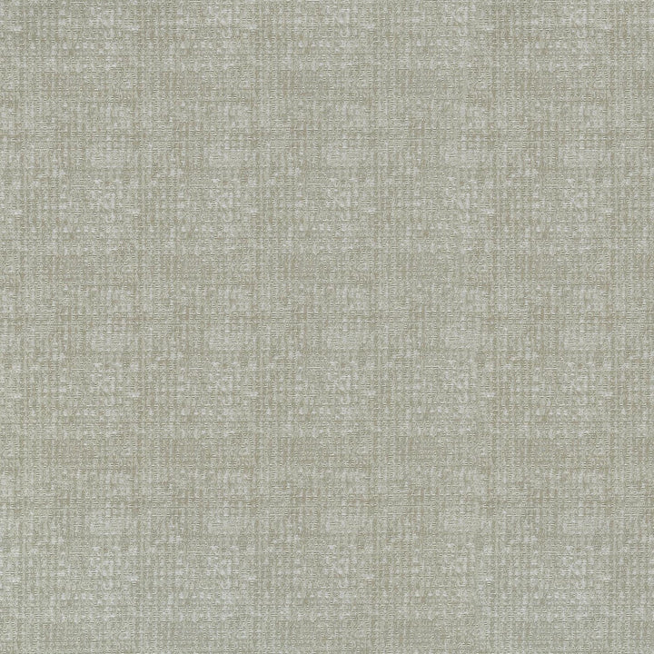 Odette Birch 409952 by PKL Studio Fabric - 84% Polyester 16% Cotton INDIA 36000 Horizontal: 2.3 and Vertical: 3.7 55 - Fabric Carolina -