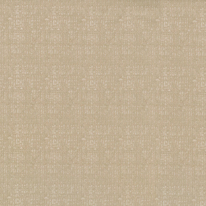 Odette Cameo 409954 by PKL Studio Fabric - 84%Polyester 16%Cotton INDIA 36000 Horizontal: 2.3 and Vertical: 3.7 55 - Fabric Carolina -