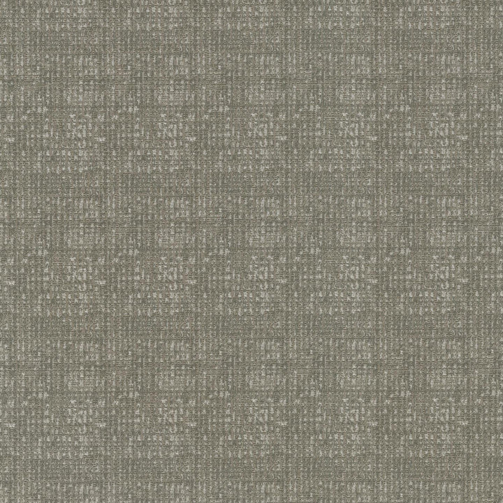 Odette Driftwood 409955 by PKL Studio Fabric - 84%Polyester 16%Cotton INDIA 36000 Horizontal: 2.3 and Vertical: 3.7 55 - Fabric Carolina -