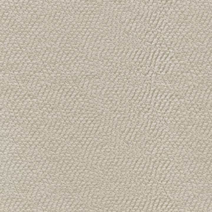 Renee Foam 409961 by PKL Studio Fabric - 59%Polyester 40%Cotton 1%Lycra INDIA 51000 Horizontal: 9.3 and Vertical: 13.3 55 - Fabric Carolina -