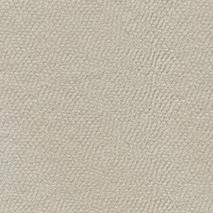 Renee Foam 409961 by PKL Studio Fabric