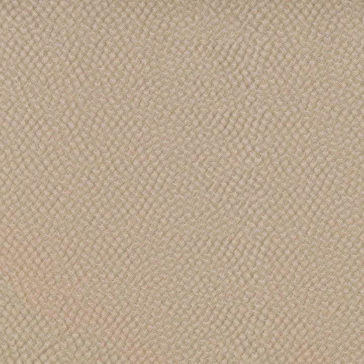 Renee Cameo 409962 by PKL Studio Fabric - 59% Polyester 40% Cotton 1% Lycra INDIA 51000 Horizontal: 9.3 and Vertical: 13.3 55 - Fabric Carolina -