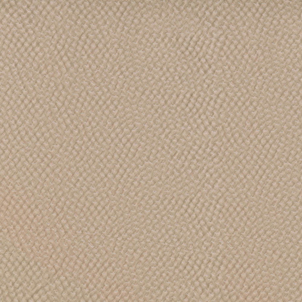 Renee Cameo 409962 by PKL Studio Fabric - 59%Polyester 40%Cotton 1%Lycra INDIA 51000 Horizontal: 9.3 and Vertical: 13.3 55 - Fabric Carolina -