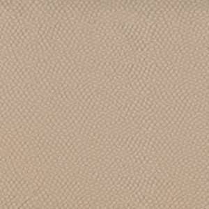 Renee Cameo 409962 by PKL Studio Fabric