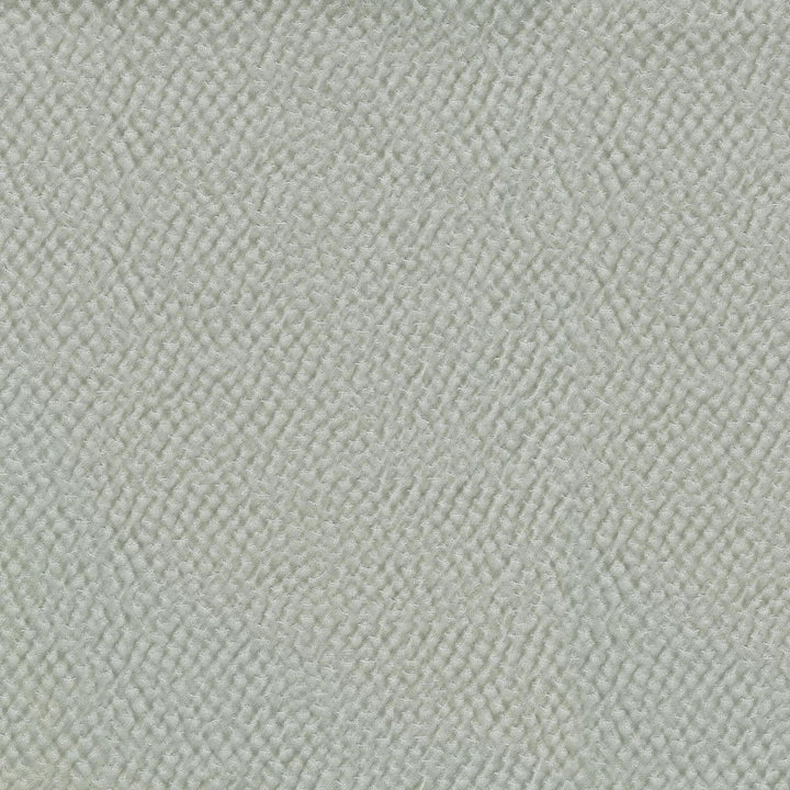 Renee Platinum 409963 by PKL Studio Fabric - 59% Polyester 40% Cotton 1% Lycra INDIA 51000 Horizontal: 9.3 and Vertical: 13.3 55 - Fabric Carolina -