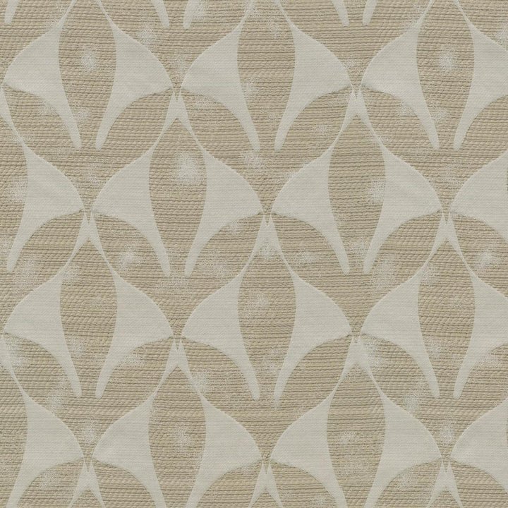 Aveline Champagne 409981 by PKL Studio Fabric - 100%Polyester INDIA 51000 Horizontal: 9.3 and Vertical: 19 54 - Fabric Carolina -