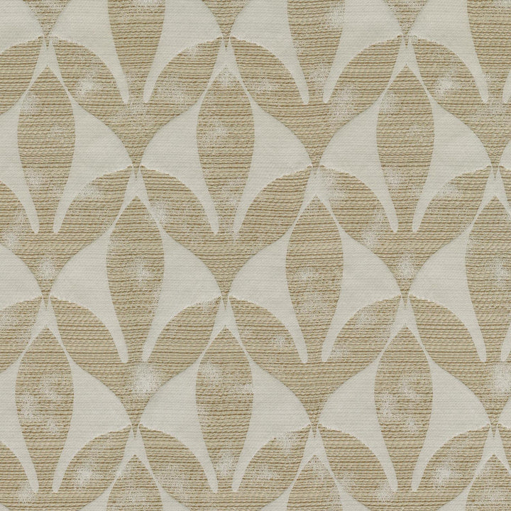 Aveline Sandstone 409982 by PKL Studio Fabric - 100% Polyester INDIA 51000 Horizontal: 9.3 and Vertical: 19 54 - Fabric Carolina -
