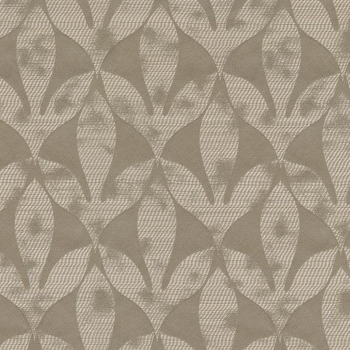 Aveline Driftwood 409985 by PKL Studio Fabric - 100%Polyester INDIA 51000 Horizontal: 9.3 and Vertical: 19 54 - Fabric Carolina -