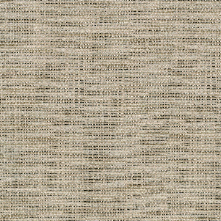 Clemence Linen 409990 by PKL Studio Fabric - 80% Polyester 20% Cotton INDIA Horizontal: 0 and Vertical: 0 54 - Fabric Carolina -
