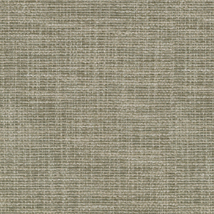 Clemence Sandstone 409991 by PKL Studio Fabric - 80%Polyester 20%Cotton INDIA Horizontal: 0 and Vertical: 0 54 - Fabric Carolina -