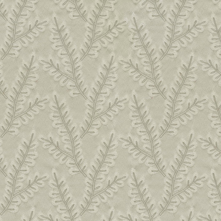Delphine Pearl 410030 by PKL Studio Fabric - 100% Polyester INDIA 21000 Horizontal: 4.6 and Vertical: 4.4 54 - Fabric Carolina -