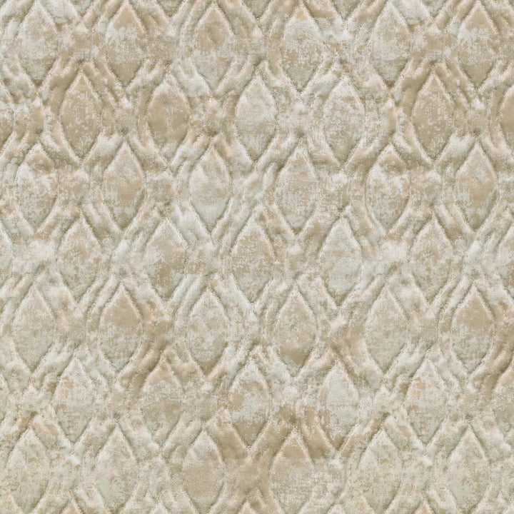 Dominique Champagne 410040 by PKL Studio Fabric - 100%Polyester INDIA 31000 Horizontal: 9.3 and Vertical: 7 54 - Fabric Carolina -