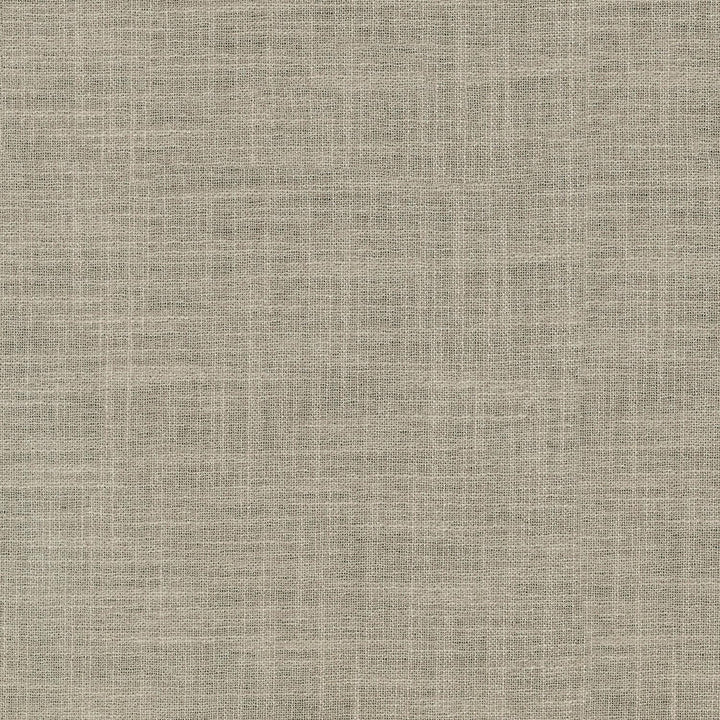 Margot Cameo 410072 by PKL Studio Fabric - 75%Polyester 25%Cationic INDIA Horizontal: 0 and Vertical: 0 54 - Fabric Carolina -