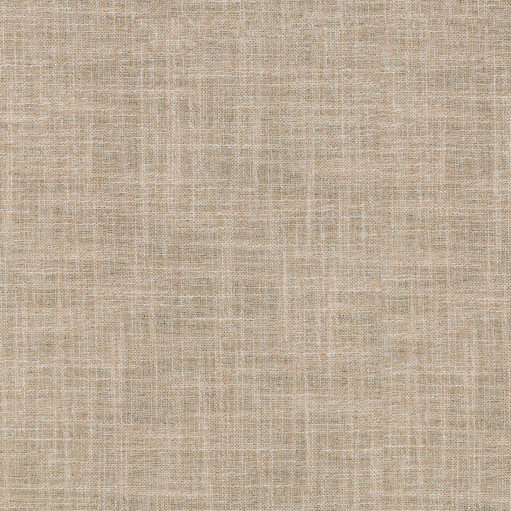 Margot Blush 410076 by PKL Studio Designer Fabric - 75% Polyester 25% Cationic INDIA Horizontal: 0 and Vertical: 0 54 - Swanky Fabrics -