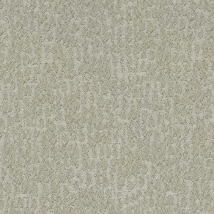 Regine Flint 410101 by PKL Studio Fabric - 100%Polyester INDIA 12000 Horizontal: 9.3 and Vertical: 11.9 54 - Fabric Carolina -