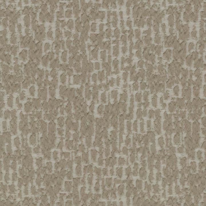 Regine Driftwood 410103 by PKL Studio Fabric - 100%Polyester INDIA 12000 Horizontal: 9.3 and Vertical: 11.9 54 - Fabric Carolina -