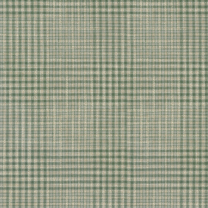 Byron Plaid Thyme 410202 by PKL Studio Fabric - 7% Polyester 78% Cotton 15% Linen INDIA 51000 Horizontal: 5.4 and Vertical: 4.8 54 - Fabric Carolina -