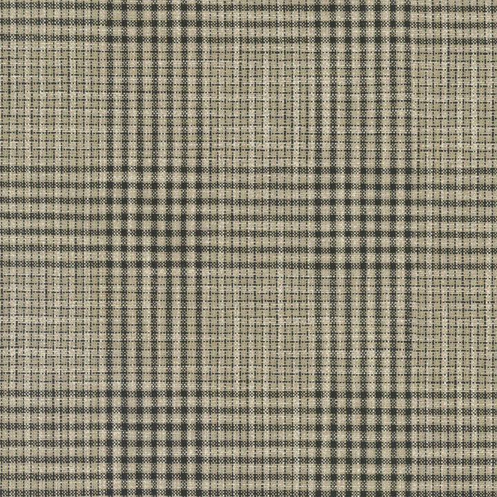Byron Plaid Newsprint 410203 by PKL Studio Fabric - 7% Polyester 78% Cotton 15% Linen INDIA 51000 Horizontal: 5.4 and Vertical: 4.8 54 - Fabric Carolina -