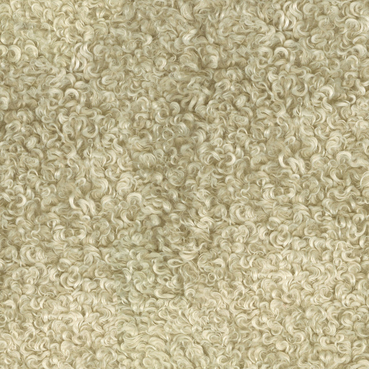 Curly Whirly Foam 410230 by PKL Studio Fabric - 100%Polyester CHINA 51000 Horizontal: 0 and Vertical: 0 61 - Fabric Carolina -