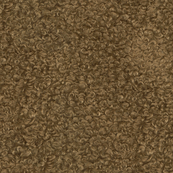 Curly Whirly Camel 410232 by PKL Studio Fabric - 100%Polyester CHINA 51000 Horizontal: 0 and Vertical: 0 61 - Fabric Carolina -