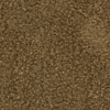 Curly Whirly Camel 410232 by PKL Studio Fabric
