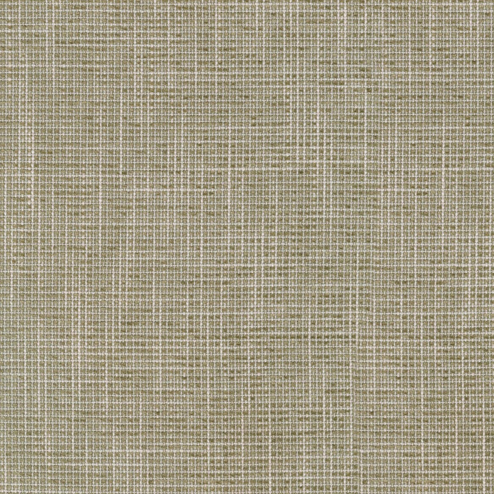 Layla Sycamore 410241 by PKL Studio Fabric - 45%Polyester 55%Cotton INDIA 33000 Horizontal: 0 and Vertical: 0 54 - Fabric Carolina -