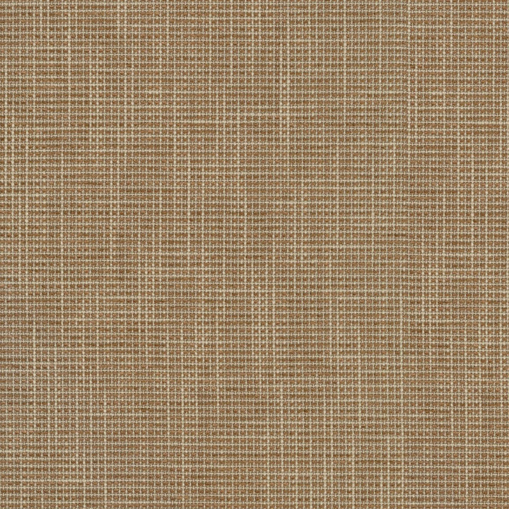 Layla Gingerbread 410244 by PKL Studio Fabric - 45%Polyester 55%Cotton INDIA 33000 Horizontal: 0 and Vertical: 0 54 - Fabric Carolina -