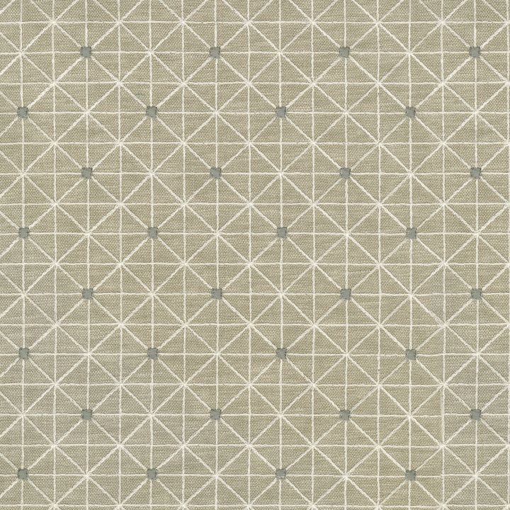 Sierra Embr Linen 410251 by PKL Studio Fabric - 71%Polyester 29%Cotton Embroid:100%Viscose INDIA 51000 Horizontal: 3.25 and Vertical: 3.2 54 - Fabric Carolina -