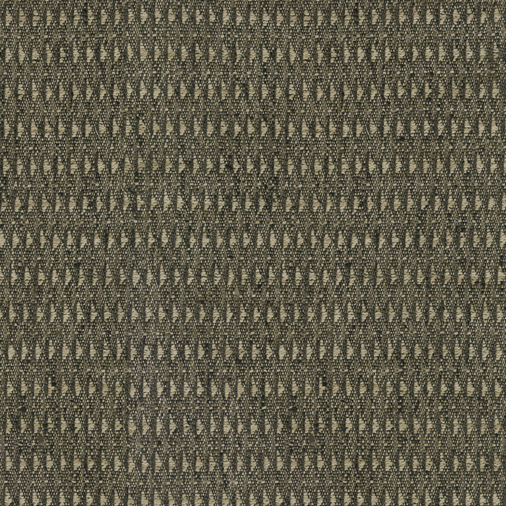 Tabriz Ebony 410272 by PKL Studio Fabric - 55% Poly 45% Recycled Poly INDIA 51000 Horizontal: 0.3 and Vertical: 0.8 54 - Fabric Carolina -