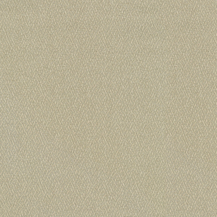 Cocoon Oyster 410290 by Performance Fabric - Base:100%Polyester Back:100%Acrylic CHINA 51000 Horizontal: 0 and Vertical: 0 55 - Fabric Carolina -
