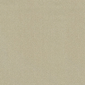 Cocoon Oyster 410290 by Performance Fabric