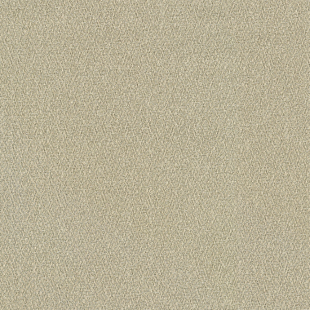 Cocoon Oyster 410290 by Performance Fabric - Base:100% Polyester Back:100% Acrylic CHINA 51000 Horizontal: 0 and Vertical: 0 55 - Fabric Carolina -