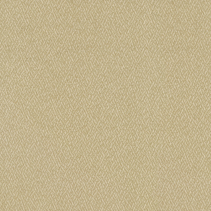 Cocoon Haystack 410291 by Performance Fabric - Base:100% Polyester Back:100% Acrylic CHINA 51000 Horizontal: 0 and Vertical: 0 55 - Fabric Carolina -