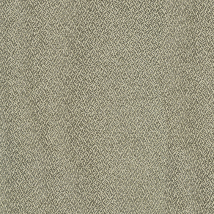 Cocoon Shale 410292 by Performance Fabric - Base:100%Polyester Back:100%Acrylic CHINA 51000 Horizontal: 0 and Vertical: 0 55 - Fabric Carolina -
