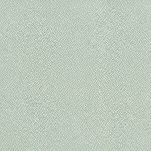 Cocoon Mist 410294 by Performance Fabric