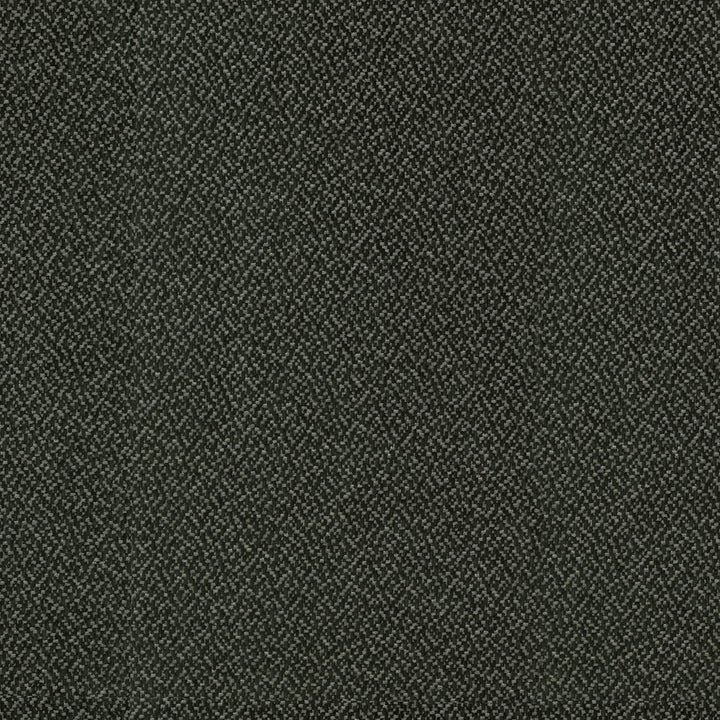 Cocoon Coal 410296 by Performance Fabric - Base:100% Polyester Back:100% Acrylic CHINA 51000 Horizontal: 0 and Vertical: 0 55 - Fabric Carolina -