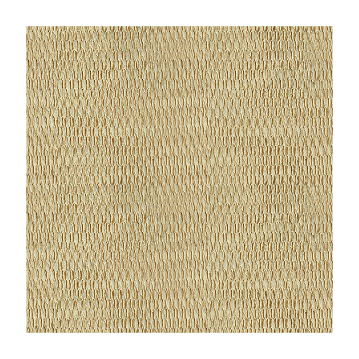 4105-1616 by Kravet Basics Fabric - POLYESTER - 100% Turkey - Horizontal: - and Vertical: - 118 - Fabric Carolina -