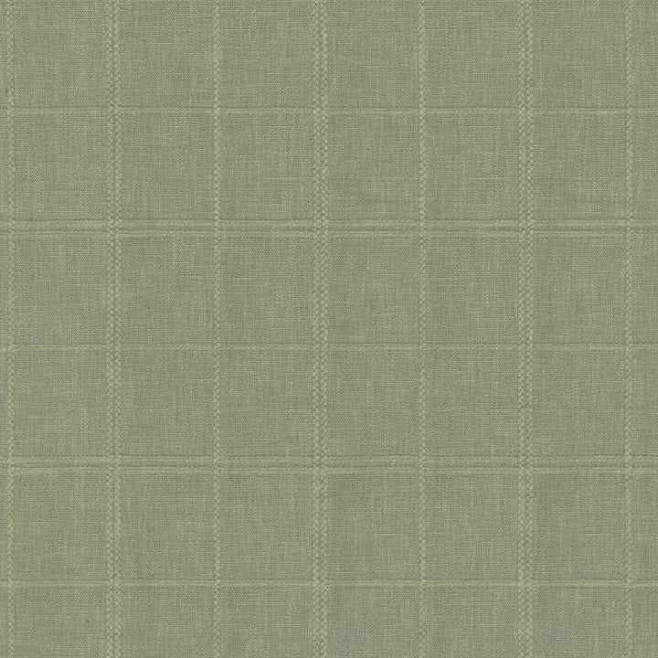 Moray Wintergreen 410657 by PKL Studio Fabric - 50% Polyester 50% Cotton INDIA 51000 Horizontal: 4 and Vertical: 4.5 54 - Fabric Carolina -